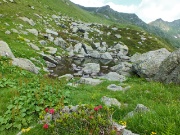 72 laghetto di Cavizzola (1792 m.)  